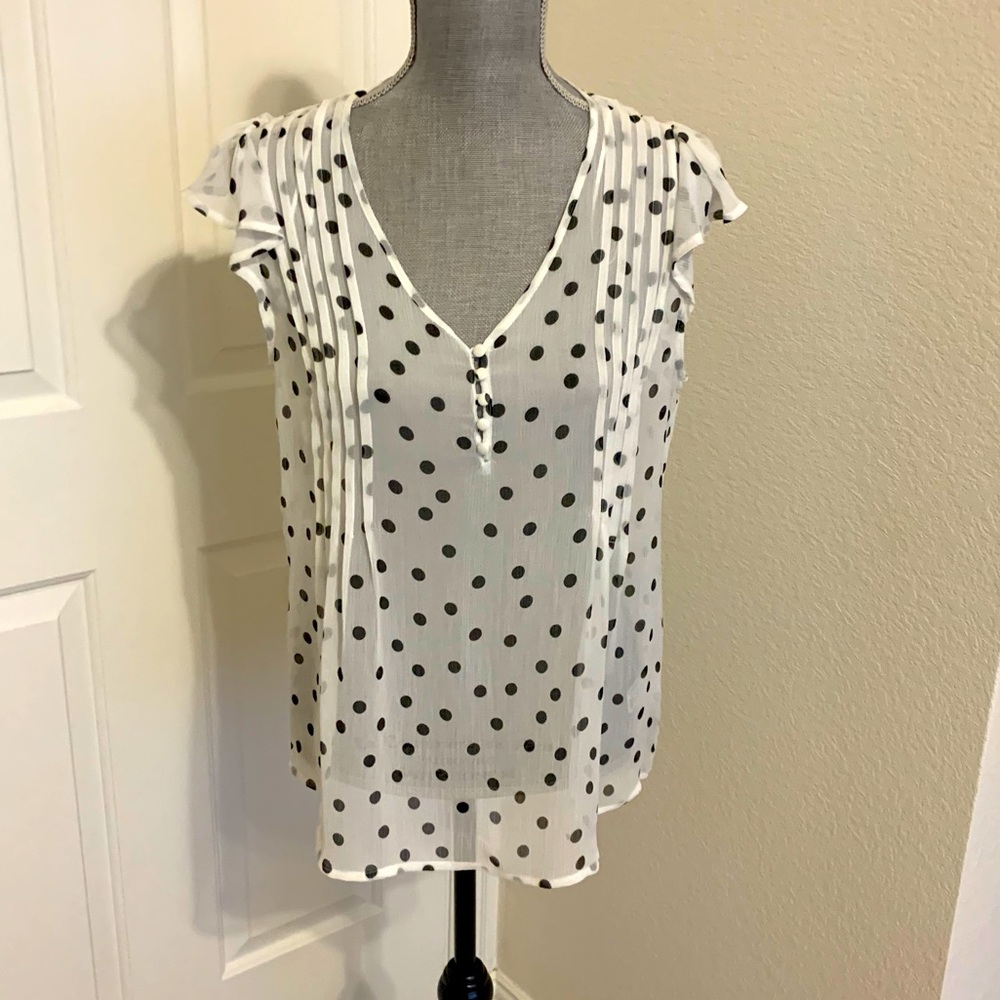 Beautiful Sheer White w/Black polkadot Blouse